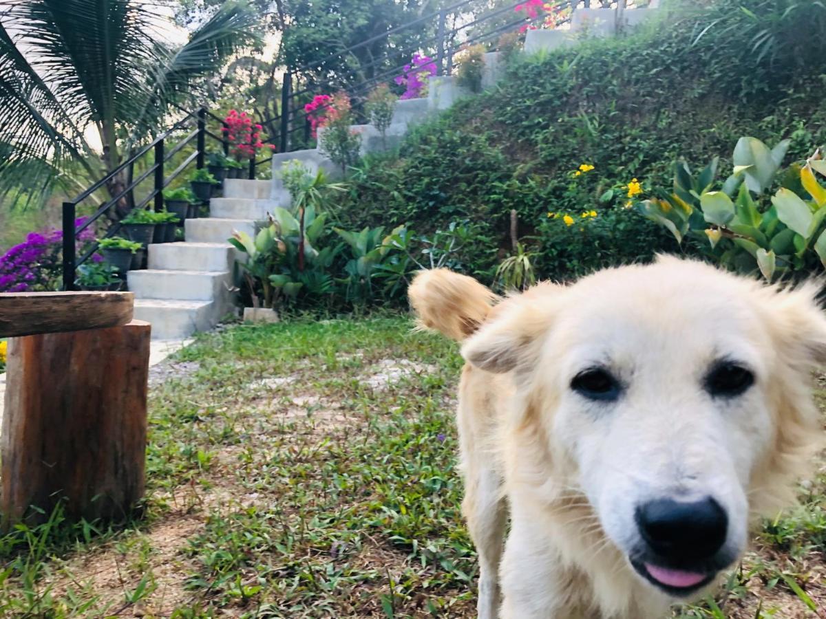 Baanhatsompaen Homestay 拉廊 外观 照片